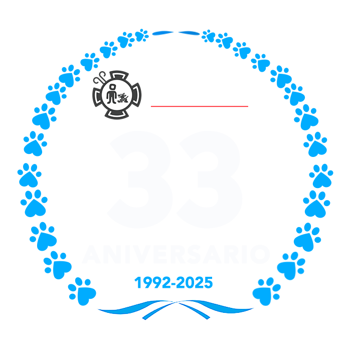 logo-blanco-aniv-33 logo-blanco-aniv-33