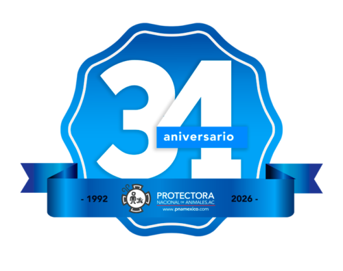 aniversario--34-PNA-final