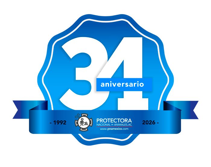 aniversario--34-PNA-final